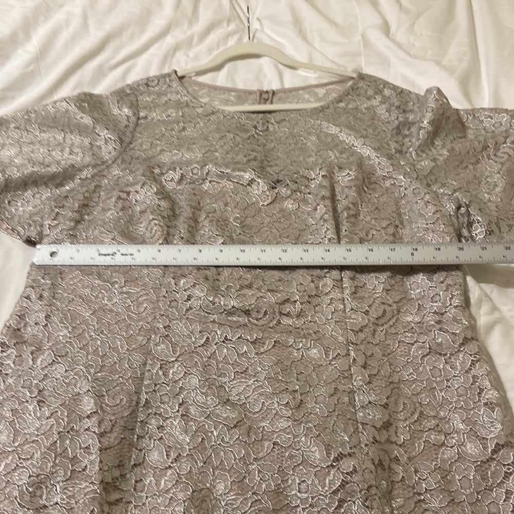 Adrienna Pappell Lace Dress Sz 18W NWT Color Icy Lilac gray very pretty holiday - Picture 13 of 17